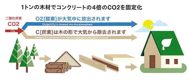 1トンの木材でコンクリートの4倍のCO2を固定化